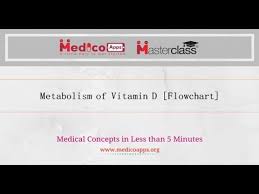 Metabolism Of Vitamin D
