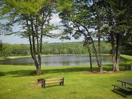 The pinchot state forest camping brochure (pdf) has additional information about the campsites and camping permit application. Tanglewood Camping 14 Photos 1 Reviews Covington Pa Roverpass