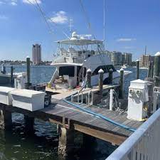 dolphin carpet cleaning restoration