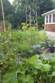Produce Gardening Urban Farming