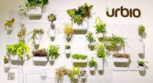 Indoor Gardens With Versatile Urbio System