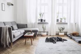 white living room design ideas for all
