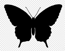 Estêncil borboleta preta, silhueta de borboleta, silhueta, escova borboleta  com pés, folha, simetria png | PNGWing