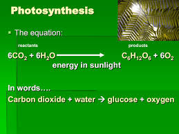 Photosynthesis The Equation