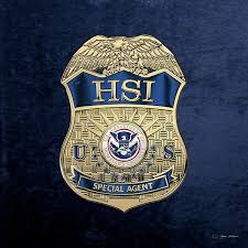 homeland security investigations hsi