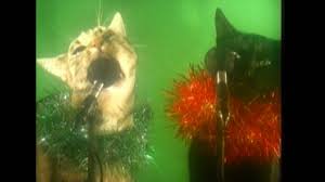 Image result for cats singing christmas carols