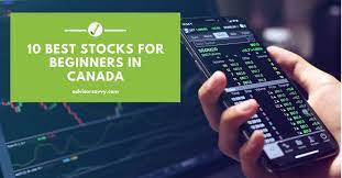 best stocks for beginners in canada