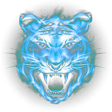 tiger face png hd transpa png