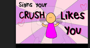 does my crush like me quiz accurate