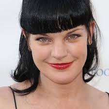 ncis s pauley perrette sparks reaction