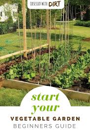 Beginner Vegetable Gardening