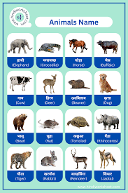 animal chart for kids