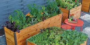 Guide To Raised Garden Beds Plans