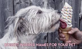 A dessert is typically the sweet course that concludes a meal in the culture of many countries, particularly western culture.the course usually consists of sweet foods, but may include other items. Dessert Inspired Names For Your Pet Wifetime Of Happiness