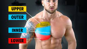 total chest workout inner outer