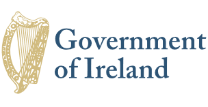 Image result for irish government