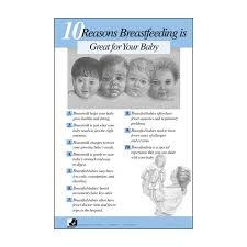 10 Reasons Breastfeeding Is Great For Babies Paper Chart