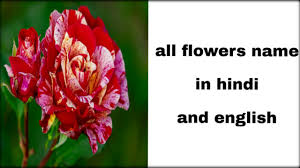 all flowers name in hindi and english