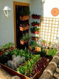 This Tiny Balcony Vegetable Garden Only