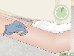 clean mold with vinegar and baking soda