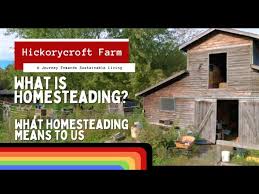 what homesteading means to us