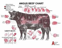 Florida Beef Council Foodservice Beef Cuts Chart Poster