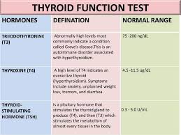 Synthesis and release of thyroid hormones. Jmc Medical Laboratory Facebook