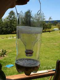 how to make a homemade fly trap with a