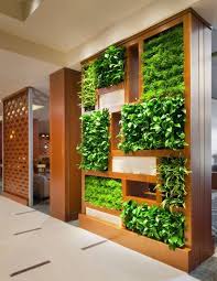 Vertical Garden Indoor