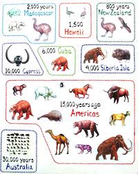 Extinct Animals Of The Americas Including Cheetahs And