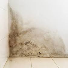 12 tips for water damage repair the