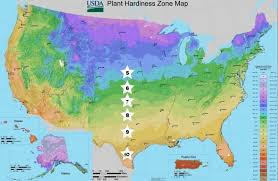 Zone 6 Planting Schedule 2023
