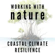 Working with Nature: Coastal Climate Resilience