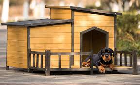 dog house ideas the