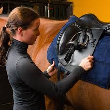 equestrian laundry services clean
