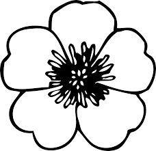 daisy flower black and white clipart