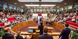The school's motto was sola virtus invicta, (which roughly translates from latin to strength of character alone remains invincible. Goffs Uk On Twitter Watch Day Two Of The Goffs Uk January Sale At Doncaster Live Https T Co Xfraoy9ufd