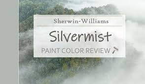 Sherwin Williams Silvermist Review A