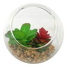 Succulents In Glass Bowl 4 75