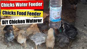 s water feeder diy en
