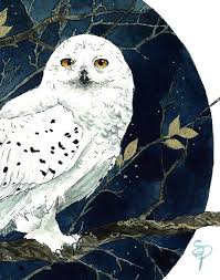Snowy Owl Watercolor Painting Nature