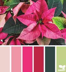30 Holiday Color Palettes - PsPrint Blog