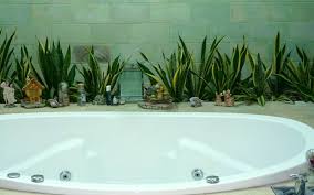 creative ways to use plants in the bathroom