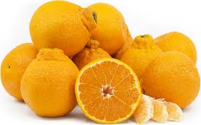 sumo citrus information and facts