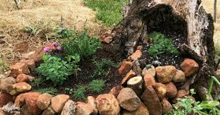 Fairy Garden In A Tree Stump Diy