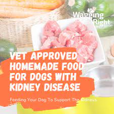 how to feed a dog with kidney disease