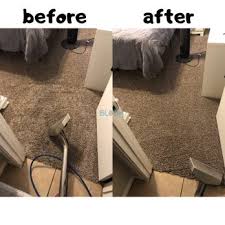 bloom carpet cleaning 993 photos