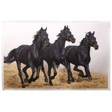black running horses vastu feng s