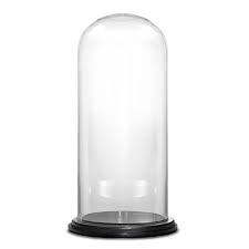 Cysexcel Dome Bell Jar Glass Terrarium
