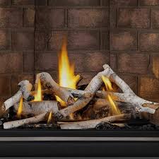 Gas Fireplace Logs Outdoor Gas